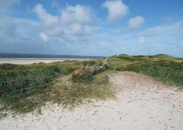 C11603-norre-nebel-marskvej-24 *