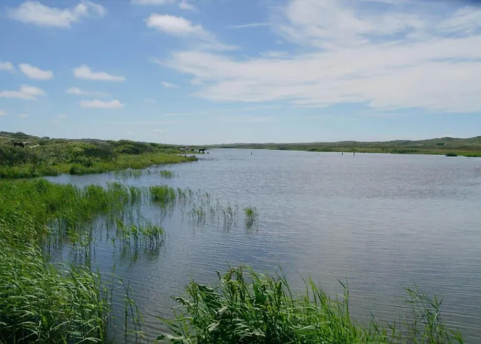 Vakantiehuis C11603-norre-nebel-marskvej-24 *